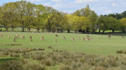 Cette semaine le Wake Up vous offre vos places pour le Parc...